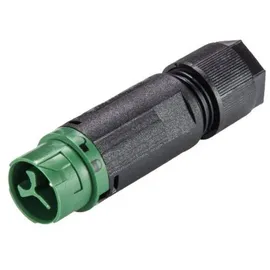 Wieland 46.032.4555.7 Rundstecker Stecker, gerade Serie (Rundsteckverbinder): RST® MINI Gesamtpolzahl: 2 + PE 1 St.