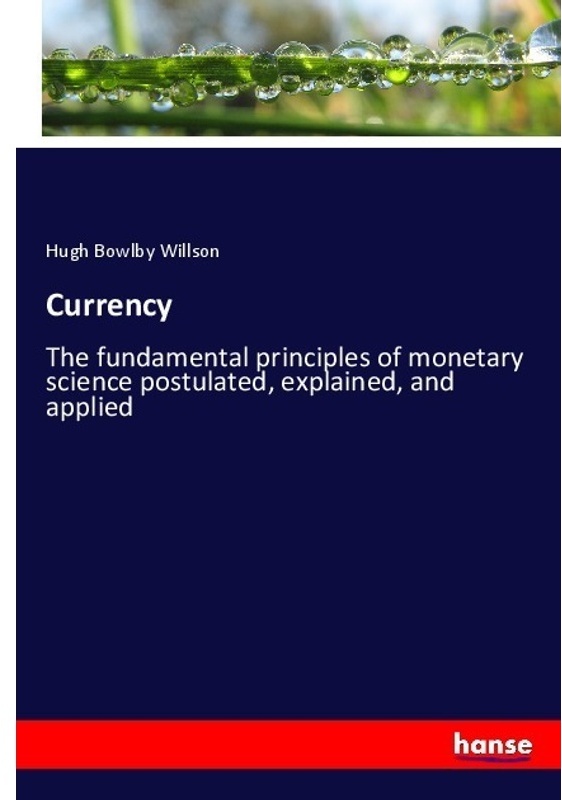 Currency - Hugh Bowlby Willson, Kartoniert (TB)