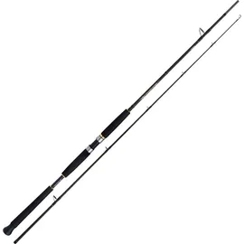 Shimano Beastmaster AX Pilk 2,40m 150-300g 2pc Pilkrute
