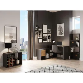 Phoenix Raumteiler 58 x 34 x 146,6 cm Grau