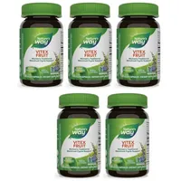 Nature's Way Vitex Fruit (100 Kapseln)