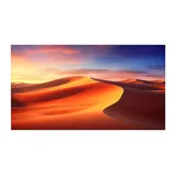 Celexon Expert PureWhite 300 x 187 cm