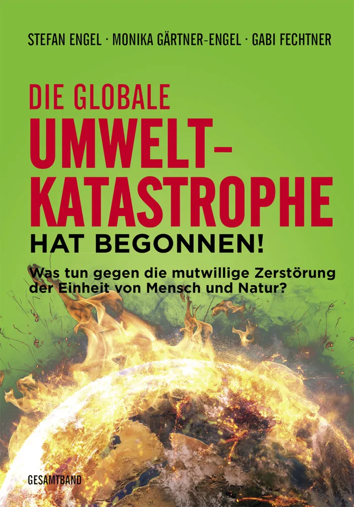 Die Globale Umweltkatastrophe Hat Begonnen! - Stefan Engel  Kartoniert (TB)