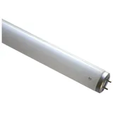 Scharnberger+Hasenbein T12 20W/05 G13 blau 5000K