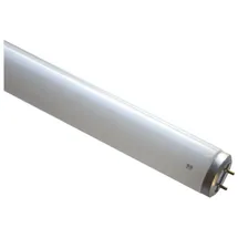 Scharnberger+Hasenbein T12 20W/05 G13 blau 5000K