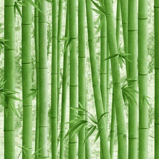 BUVU Vinyltapete 0.53x10m Blumendekor, Bambus modernes Design, Abwaschbare, Grün