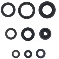 Centauro Spi-Gelenk-Set