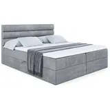 altdecor Boxbett, Grau Samt
