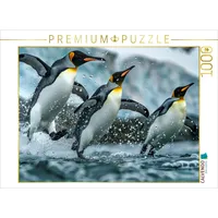Calvendo Puzzle Pinguin Ballett 1000 Teile Lege-Größe 64x48cm Foto-Puzzle