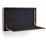 Ambivalenz Fläpps 100x60-1 Staatssekretär/in schwarz