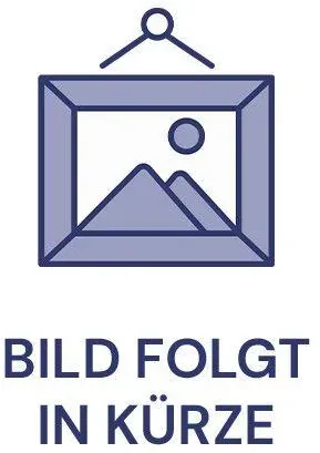 Einhell Exzenterschleifer TC-RS 425 E (4462005)