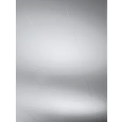 PARADOR Dekorpaneele »Rapido«, weiß seidenmatt, Holzwerkstoff, Stärke: 12 mm - weiss