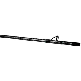 Ftm Greenlight 3,00m 20-50g