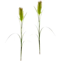 I.GE.A. Kunstpflanze I.GE.A. "Pampas", grün, B:13cm H:125cm L:10cm, Obermaterial: 85% Kunststoff, 15% Polyester, Kunstpflanzen, Kunstpflanze, Pampasgras, Boho, 2er Set