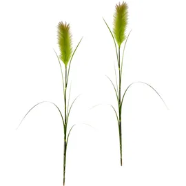 I.GE.A. Kunstpflanze I.GE.A. "Pampas", grün, B:13cm H:125cm L:10cm, Obermaterial: 85% Kunststoff, 15% Polyester, Kunstpflanzen, Kunstpflanze, Pampasgras, Boho, 2er Set