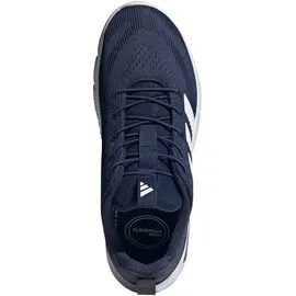adidas Cloudfoam Flex Herren Dark Blue/White 42