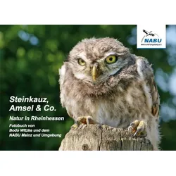 Steinkauz, Amsel & Co.