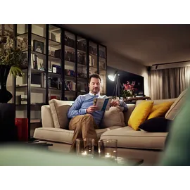 Philips LED-Birne A67 150W E27 kaltweiß