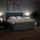 vidaXL Boxspringbett 180 x 200 cm Dunkelgrau