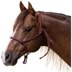 Passion 4Q Knotenhalfter burgundy Cob