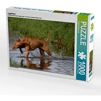 Calvendo Jagdfieber 1000 Teile