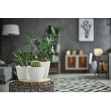 ZANVIC Splofy Dsp260 Blumentopf Von Prosperplast
