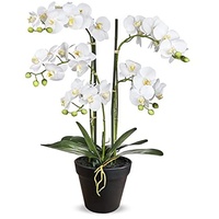 HTT Decorations - künstliche Orchidee - Orchidee - in weiß - 68-5 Zweige - im Topf - Deko - Zimmerpflanze