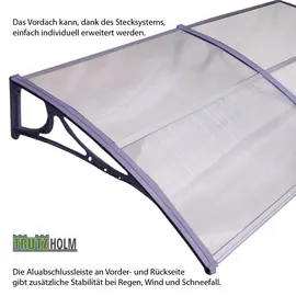 Trutzholm Vordach Pultvordach 295 x 97 cm grau