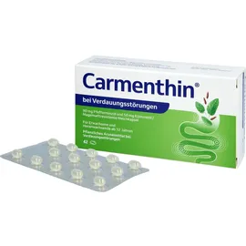Dr. Willmar Schwabe Carmenthin bei Verdauungsstörungen 42 St.