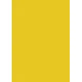 Baier & Schneider Seidenpapier 50 x 70 cm gelb