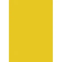 Baier & Schneider Seidenpapier 50 x 70 cm gelb