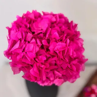 Lykke & You Trockenblumen, Pink, Naturmaterialien, 35 cm, Dekoration, Blumen & Zubehör, Trockenblumen