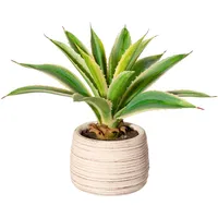 Creativ green Künstliche Zimmerpflanze CREATIV GREEN "Agave im Zementtopf", grün, H:25cm, Obermaterial: 100% Polyethylen, Kunstpflanzen, Künstliche Zimmerpflanze