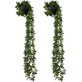 Relaxdays künstliche Hängepflanzen im 2er Set, hängende Kunstpflanzen im Topf, Kunsteukalyptus wie echt, grün/schwarz
