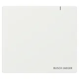 Busch-Jaeger System Access Point SAP.13