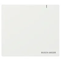 Busch-Jaeger System Access Point SAP.13