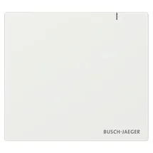 Busch-Jaeger System Access Point SAP.13
