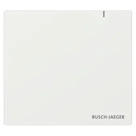Busch-Jaeger System Access Point SAP.13