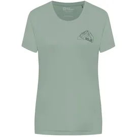 Jack Wolfskin Peak Graphic Kurzarm-t-shirt - New Mountain Green Zinnia - 2XL