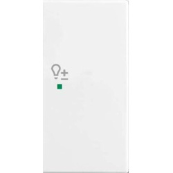Busch-Jaeger Wippe aws Busch-balance SI 6234-22-914