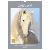 Calvendo Caballos - Die schönen Pferde Spaniens (Wandkalender 2026