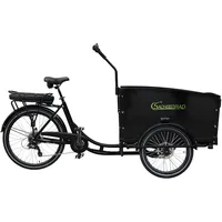 Sachsenrad T1 Grand Trunk 2023 20 Zoll RH 50,8 cm Unisex schwarz