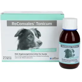 Alfavet ReConvales Tonicum Hund 6 x 90 ml