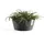 Ecopots Frankfurt Ø 41 x 18 cm Dunkelgrau