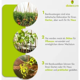 DIXIE STORE Bambusstangen Set Pflanzenstütze 100 Stück 120 cm 12/14 mm