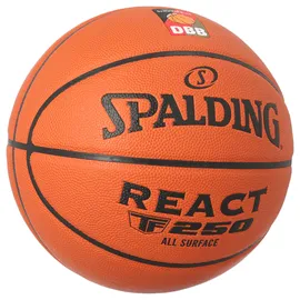 Spalding React TF-250 Composite Indoor/Outdoor 6