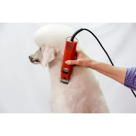 Aesculap Schermaschine Favorita II für Kleintiere 230V