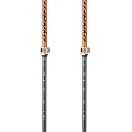 Dynafit Speed Vario Pole dawn (4490) UNI