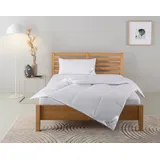 Home Affaire Daunenbettdecke + Kopfkissen HOME AFFAIRE "Moulle, Bettdecke in 135x200 cm, 155x220 cm, 2-tlg.