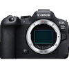 EOS R6 Mark II Body